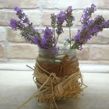 *gorgeous 2 Bd House Floor* Beautiful Garden* Апартаменты *